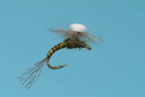 Brook's Sprout Baetis Emerger Fly