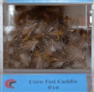 Corn Fed Caddis in fly bin