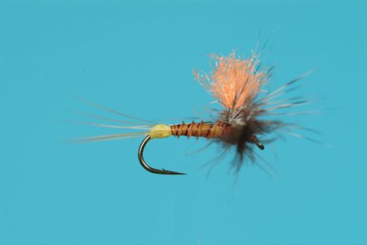12 Rusty Spinner #20 Fishing Flies Brookside Pale Morning Dun Spinner