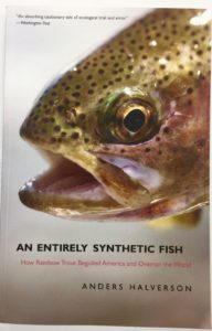 An Entirely Synthetic Fish book front cover
