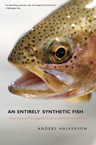 An Entirely Synthetic Fish softback book front cover