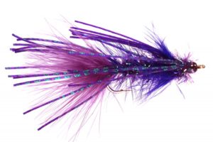 Urchin Bugger -Purple
