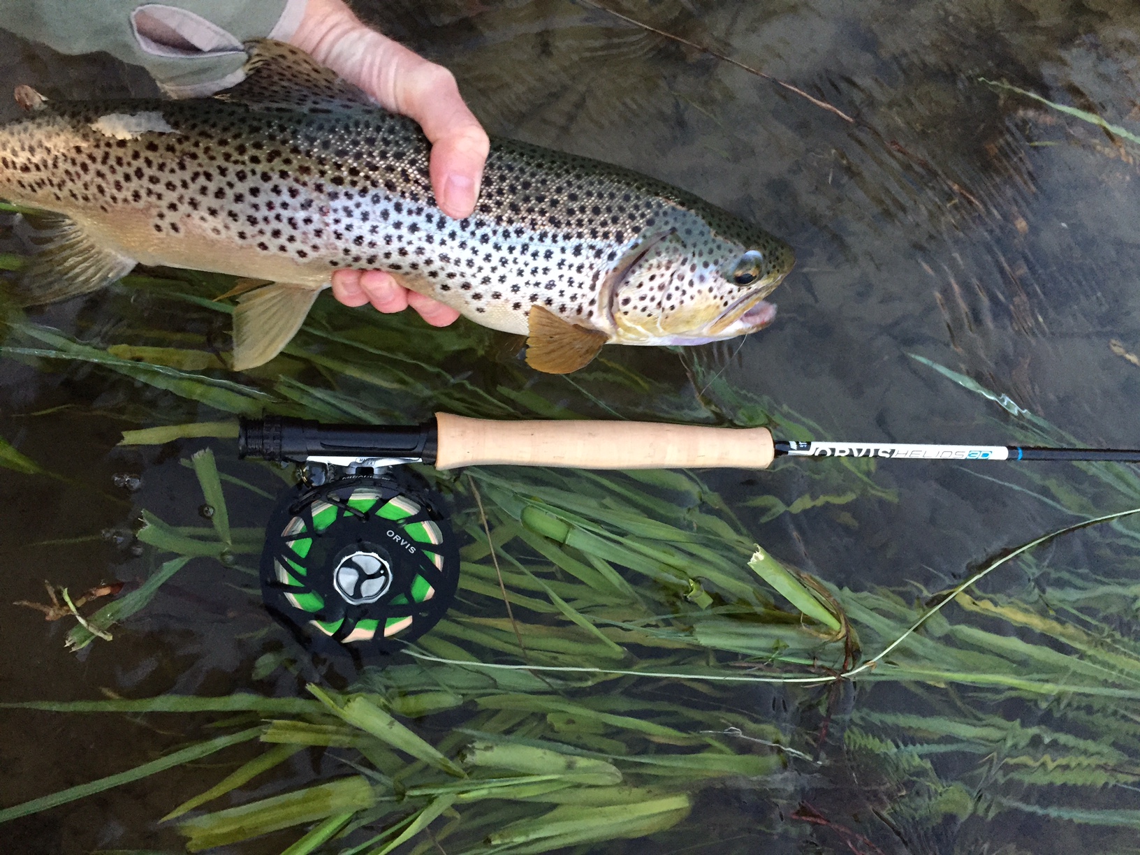 Orvis Mirage LT Fly Reel is the lightweight, best high-end, USA made reel