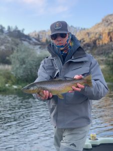 Big Missouri Brown Trout