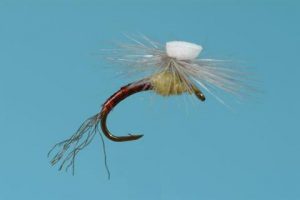 sprout pmd emerger