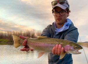 Missouri River Rainbow Trout