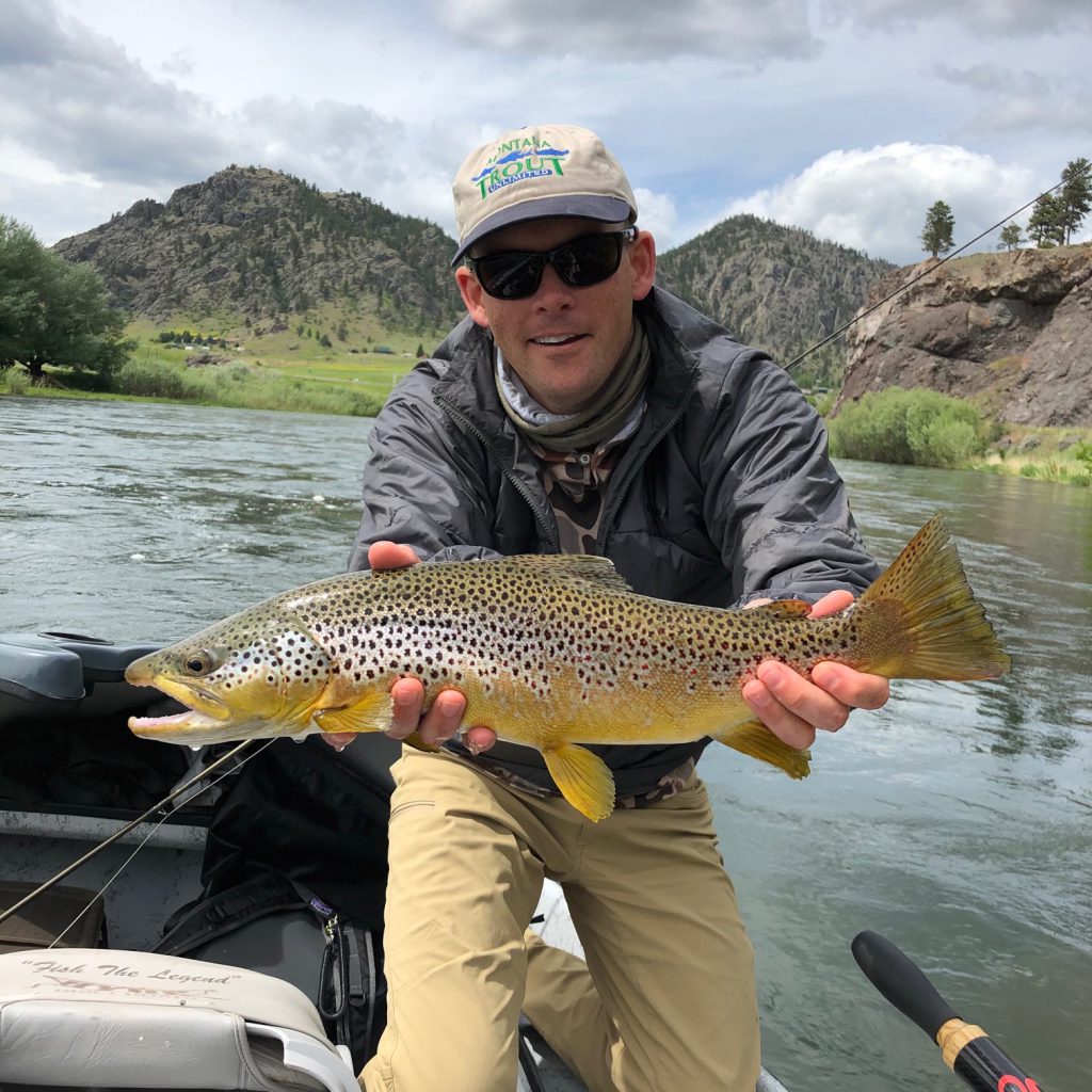 Missouri River Brown Trout